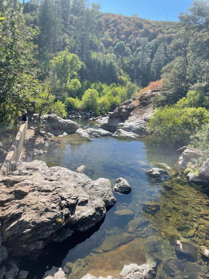 Yosemite Escapes - Pine Mountain Lake Groveland Ngoại thất bức ảnh